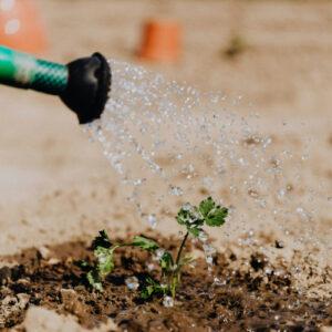 Guia de pasos para el cuidado y preservación de la naturaleza, sembrar arboles para el cuidado del medio ambiente y la preservación